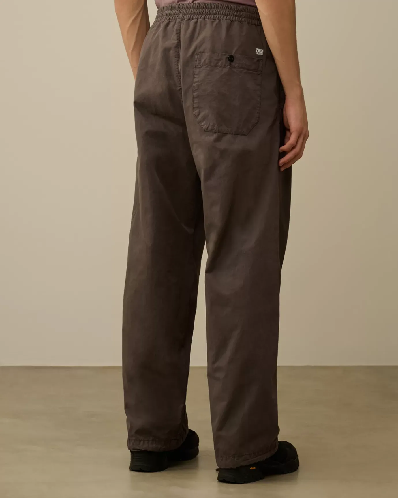 Trousers<C.P. Company Microreps Boxy Lens Cargo Pants Boulevard – Violet